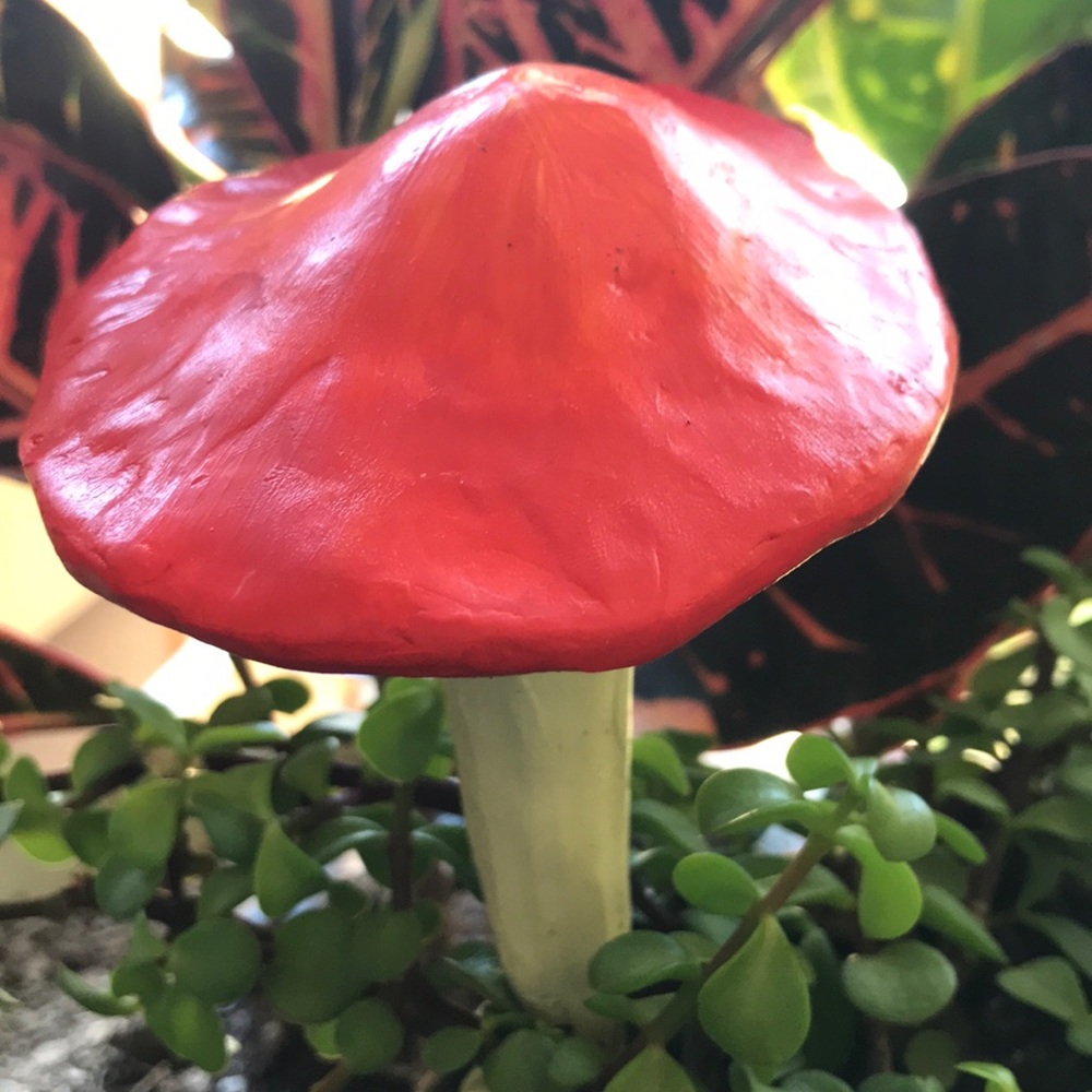 MUSHROOM 🍄 GARDEN STAKE TALISMAN ALGIZ RUNE ✨ - Picture 12 of 16